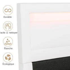 Okwish Lit Coffre Double Capitonnée 140x190 cm , avec LED, Éclairage Réglable, Rangement Sous Le Lit, PU et Bois Blanc, Sans Matelas* Lit Coffre