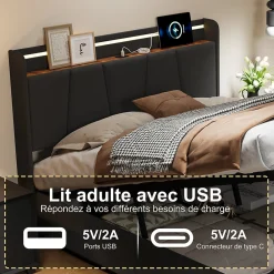 Lit Double 140 X 200 Cm Avec Éclairage LED, Prise USB, Rangement, Tête De Lit Capitonnée, Noir><noscript><img width=
