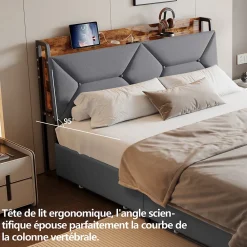 ProximaX Lit double 140x200 cm avec tête de lit, Lit rembourré avec rangements cachés, lit coffre avec ports USB/Type-C et 4 tiroirs, Gris* Lit Coffre