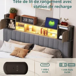 Lit 140x190 avec Sommier LED et USB, Lit Coffre avec 4 Tiroirs et Rangement Tête Delit, Gris>Fortuna lai Sale