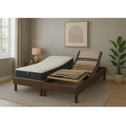 Essenzia Zen Literie électrique Ensemble DETENTE marron - Classic ressorts 2x80x200 Ressorts* Ensemble Sommier Et Matelas