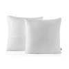 Lot 2 Oreillers 60x60 cm - Tissu Doux Aloe-Vera - Rembourrage copeaux de mousse HR - Mantien Souple>Naturalex