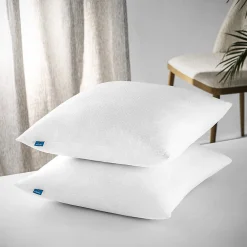Lot 2 Oreillers 60x60 cm - Tissu Doux Aloe-Vera - Rembourrage copeaux de mousse HR - Mantien Souple>Naturalex