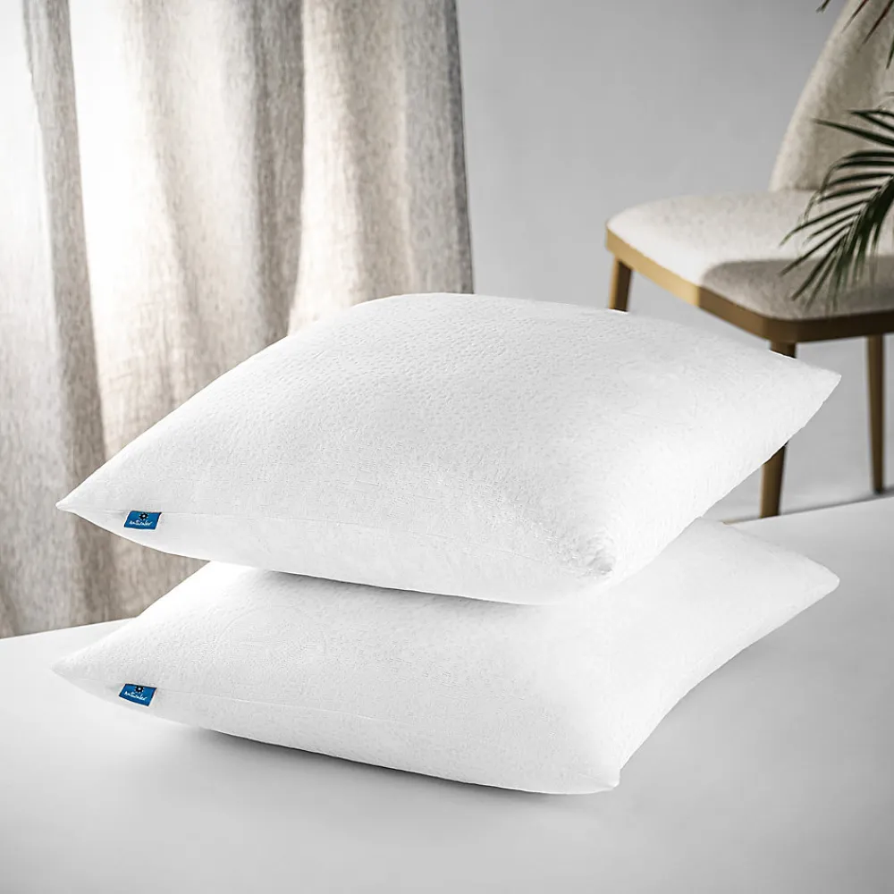 Lot 2 Oreillers 60x60 cm - Tissu Doux Aloe-Vera - Rembourrage copeaux de mousse HR - Mantien Souple>Naturalex