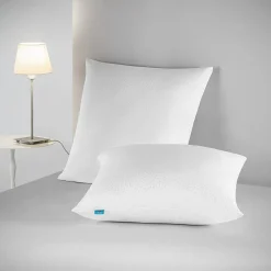 Lot 2 Oreillers 60x60 cm - Tissu Doux Aloe-Vera - Rembourrage copeaux de mousse HR - Mantien Souple><noscript><img width=