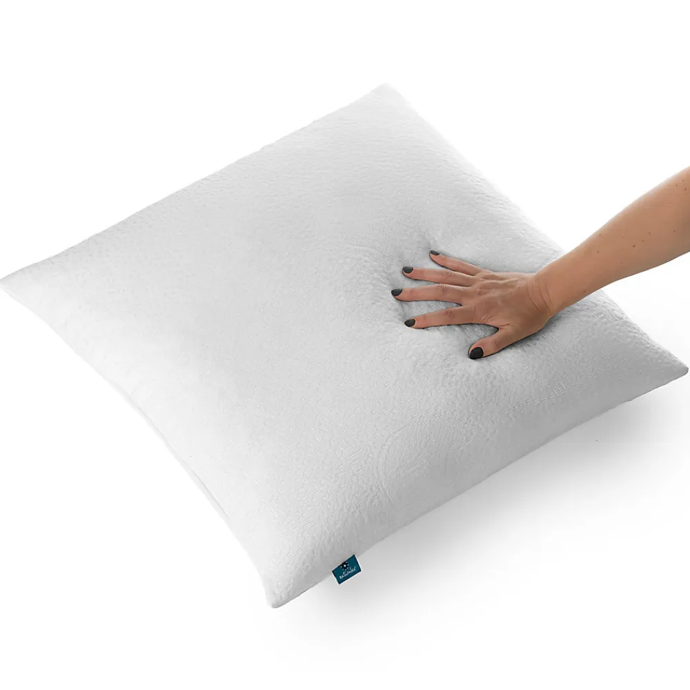 Lot 2 Oreillers 60x60 cm - Tissu Doux Aloe-Vera - Rembourrage copeaux de mousse HR - Mantien Souple>Naturalex