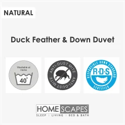 Homescapes Lot de 2 couettes 4 saisons 200 x 200 cm en duvet et plumes de canard 9 + 4.5 Tog -* Couette