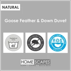 Homescapes Lot de 2 couettes 4 saisons 260 x 220 cm en duvet et plumes d'oie 9 + 4.5 Tog -* Couette
