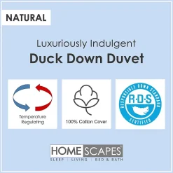 Homescapes Lot de 2 Couettes de Luxe 4 saisons en duvet de canard 9 + 4.5 Tog, 230 x 220 cm -* Couette