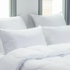Blanreve Lot de 2 oreillers 45 x 70 cm Blanrêve Gamme 