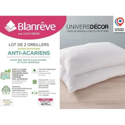 Blanreve Lot de 2 oreillers 45 x 70 cm Blanrêve Gamme 