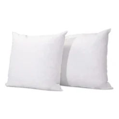Lot de 2 oreillers Chambord 60x60 cm Duvet & Plumes>Bellecour Best