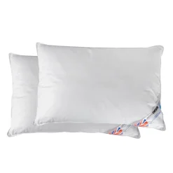 Homescapes Lot de 2 oreillers en microfibre, 50 x 75 cm -* Oreiller Ferme