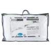 Homescapes Lot de 2 oreillers en soie de mûriers, 50 x 75 cm -* Oreiller Moelleux