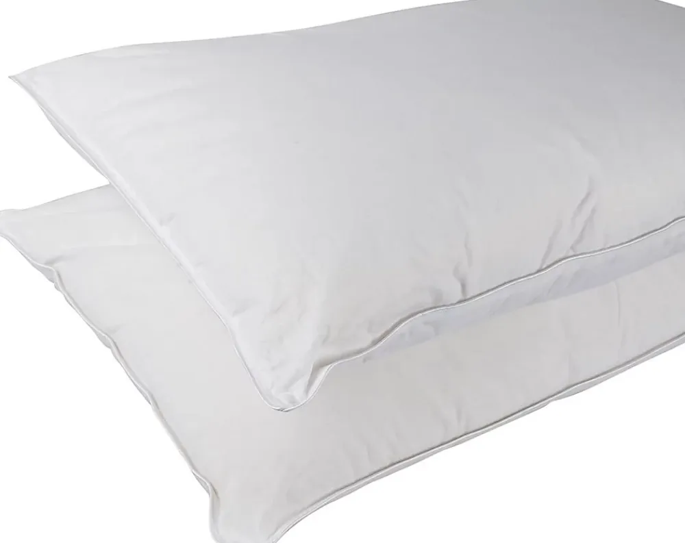 Homescapes Lot de 2 oreillers en soie de mûriers, 50 x 75 cm -* Oreiller Moelleux