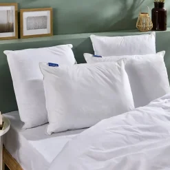 Bleu Calin Lot de 2 Oreillers Ferme 50x70cm* Oreiller Ferme