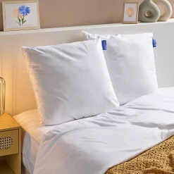 Lot de 2 Oreillers Ferme 60x60cm COTON BIO>Bleu Calin Discount