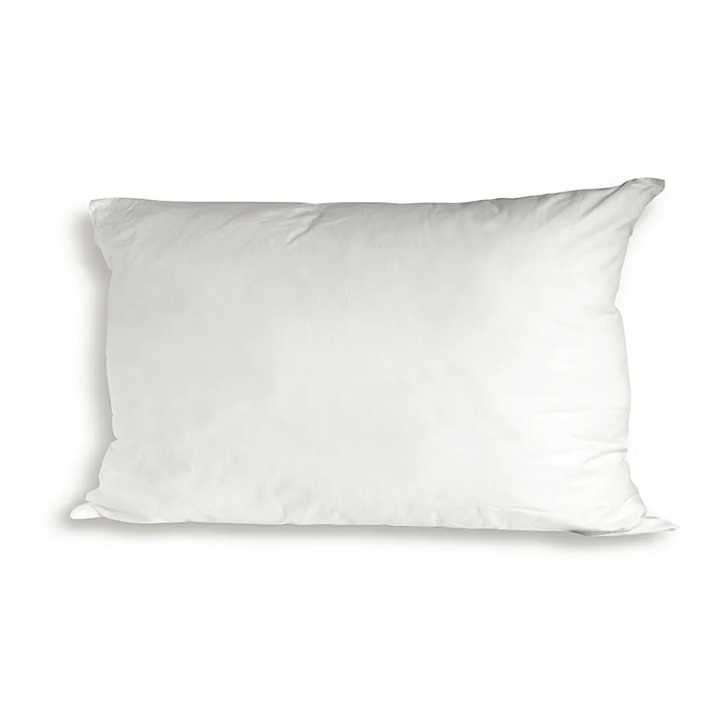 Lot de 2 oreillers Luxotel 40x60 cm Fibres creuses polyester>Bellecour