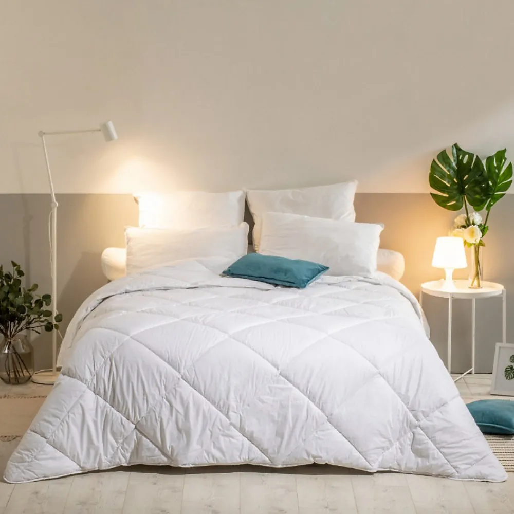 Lot de 2 Oreillers Mémoire de Forme Mixte ANTI-ACARIENS 50x70cm>Bleu Calin Clearance