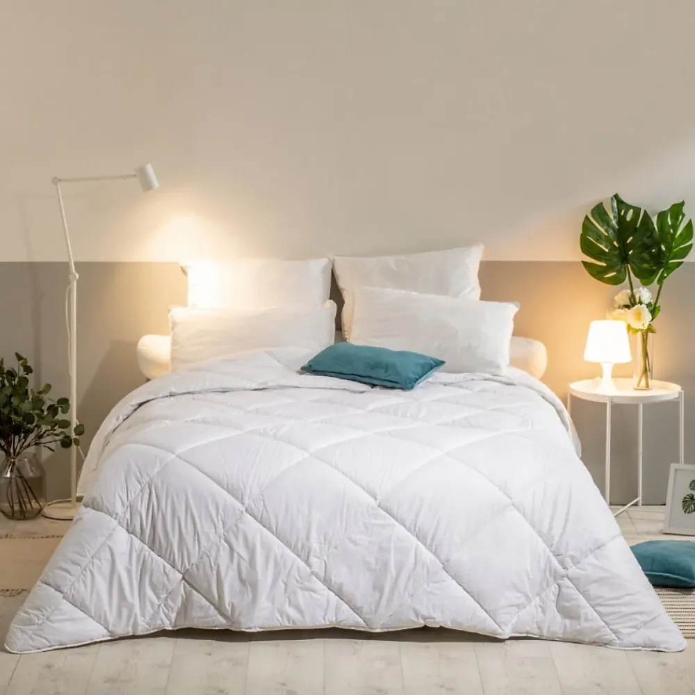 Bleu Calin Lot de 2 Oreillers Mémoire de Forme Mixte ANTI-ACARIENS 60x60cm* Oreiller Mémoire De Forme