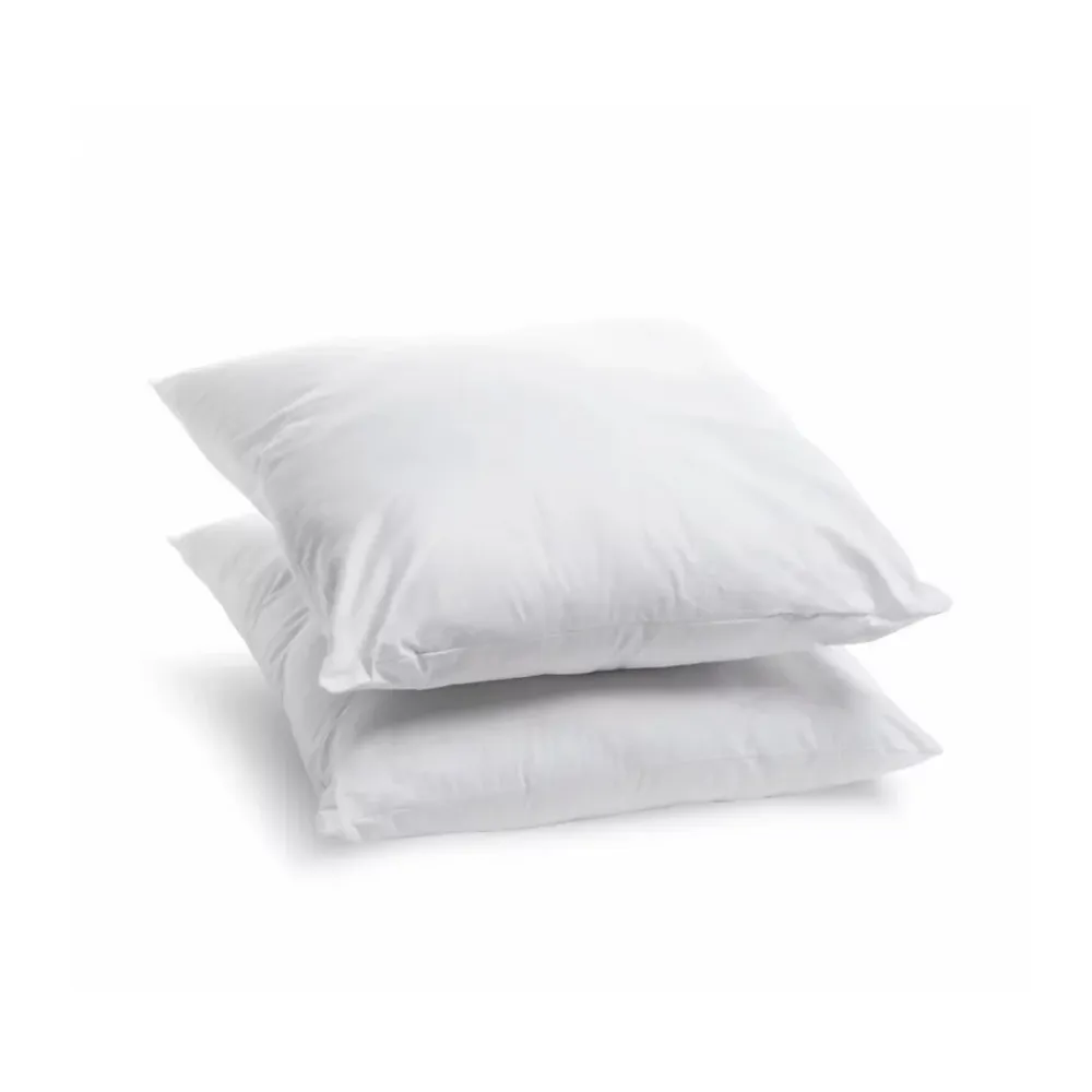 Bleu Calin Lot de 2 Oreillers Moelleux 60x60cm LAVABLE À 95 C* Oreiller Moelleux