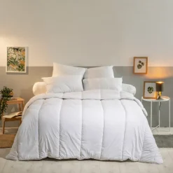 Bleu Calin Lot de 2 Oreillers Moelleux 60x60cm LAVABLE À 95 C* Oreiller Moelleux