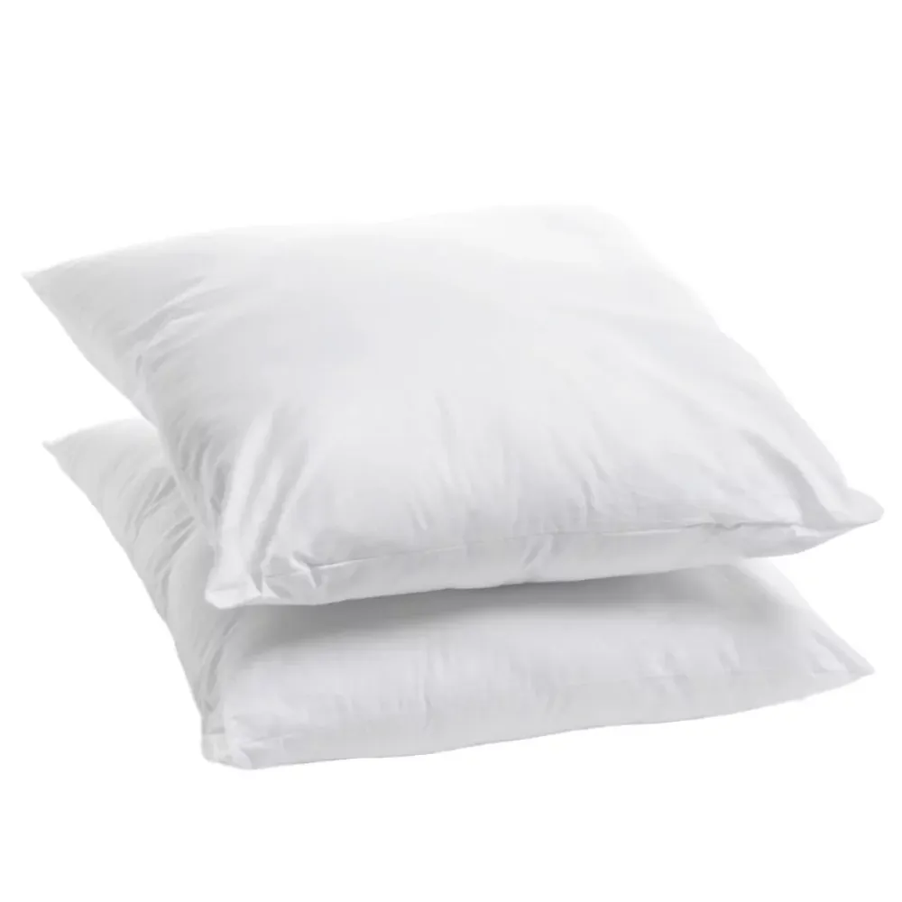 Bleu Calin Lot de 2 Oreillers Moelleux 60x60cm COTON BIO* Oreiller Moelleux