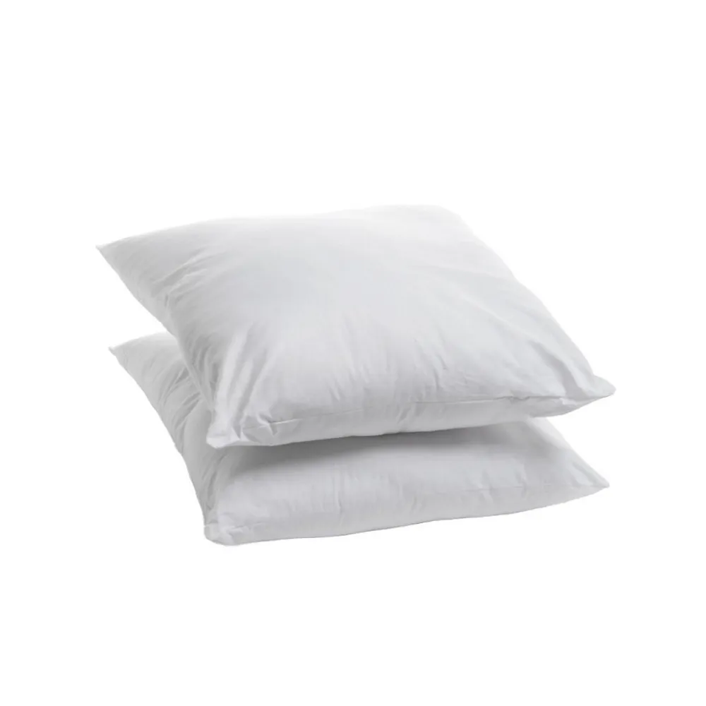 Lot de 2 Oreillers Moelleux 60x60cm Anti punaises DE LIT>Bleu Calin Outlet