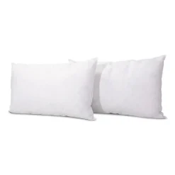 Olympe Literie Lot de 2 oreillers Natura 45x70 cm Duvet & Plumess* Oreiller Moelleux