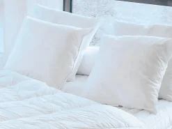 Lot de 2 oreillers recyclés 60 x 60 cm de DREAMEA - Enveloppe 100% microfibre - ROSA>Vente-unique Hot