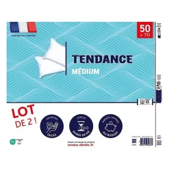 Lot de 2 oreillers Tendance 50x70 cm- 100% Polyester -><noscript><img width=