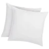 Vente-unique Lot de 2 oreillers traitement anti-acariens naturel Greencare - 60 x 60 cm - 550 gr - Blanc - coton - AZYLIA* Oreiller Moelleux