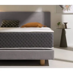 Eccox Matelas à mémoire de forme - GRAFENO THERAPY - 140x190 cm - 22 cm d'épaisseur - Anti-acarien - Confort optimal* Matelas