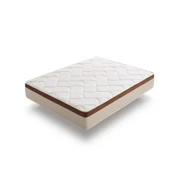 Eccox Matelas à mémoire de forme - BIO CONFORT - 70x190 cm - 25 cm d'épaisseur - Anti-acarien - Silencieux* Matelas