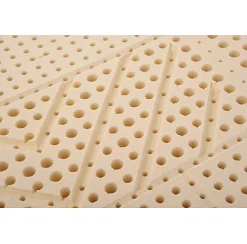 Matelas MORPHOZONE 180 110x220 Latex><noscript><img width=