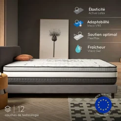 Matelas Mémoire de Forme Trilux - 140x200 - 30 cm - Confort Ferme - 7 zones - Blue Latex - Réversible - Hypoallergénique>Naturalex