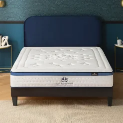 Suite Etoilee Matelas Mouse Suite Présidentielle 160x200 cm Accueil Mousse Supersoft* Matelas
