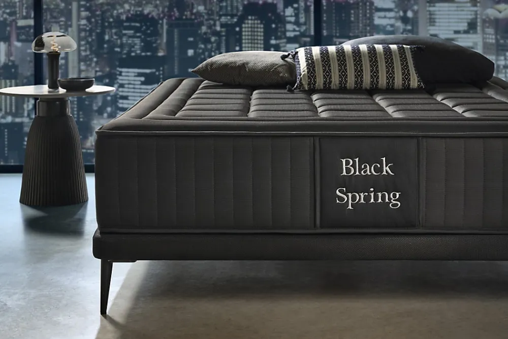 Matelas Ressorts Ensachés Black Spring Royal, 30cm, 140x190cm ->Moonia Hot