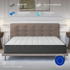 Matelas 160x200 + 2 Oreillers 60x60 Offerts - Épais 21 cm - Mousse - Blue Latex - 7 zones de soutien - Réversible - Equinox>Cosmos Outlet