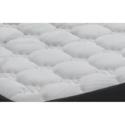 Eccox Matelas 120x190 cm Evolution Soft Comfort Mémoire de forme Carbon epaisseur 22 cm* Matelas