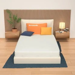 Miasuite Matelas 120x190 Hauteur 10 cm - Revêtement Aloe Vera, Waterfoam, Pliable. Plus H10* Matelas