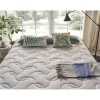 Eccox Matelas 70x190 Mémoire de forme Luxury Dream Confort Special Endition Hauteur 25 cm +/- 2 Fermeté moyenne-élevée.* Matelas