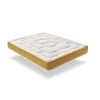 Eccox Matelas 100x200 Ressorts Ensachés Elite Gold Hauteur 30 cm +/- 2 Rembourré en Mémoire de forme + Supersoft 5 cm Mi-Ferme.* Matelas