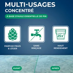 Nettoyant assainissant multi-usages senteur pin des landes 5L><noscript><img width=