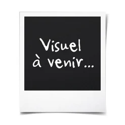 Deshumidificateur dair electrique - Extraction 12 litres/jour - Sechage du linge - Drainage continu - Affichage LED><noscript><img width=