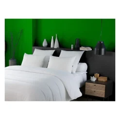 Oreiller anti-acariens 50x70 cm - 100% Polyester ->Dodo Online