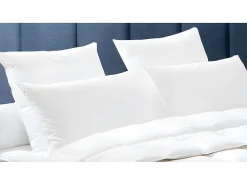 Oreiller Naturel Duvet - 65x65 cm - BAFFIN>Dodo Clearance