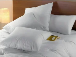 Oreiller Naturel Duvet - 65x65 cm - BAFFIN><noscript><img width=