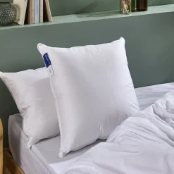 Oreiller Duvet Moelleux 60x60cm 90% DUVET DE CANARD>Bleu Calin Clearance
