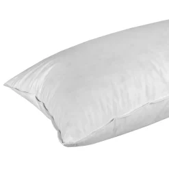 Homescapes Oreiller en duvet de canard, 40 x 80 cm -* Oreiller Moelleux